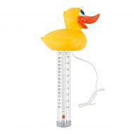 Термометр плавающий игрушка Утка серия Счастливчики / K785BU/6P